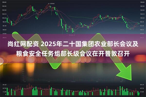 尚红网配资 2025年二十国集团农业部长会议及粮食安全任务组部长级会议在开普敦召开
