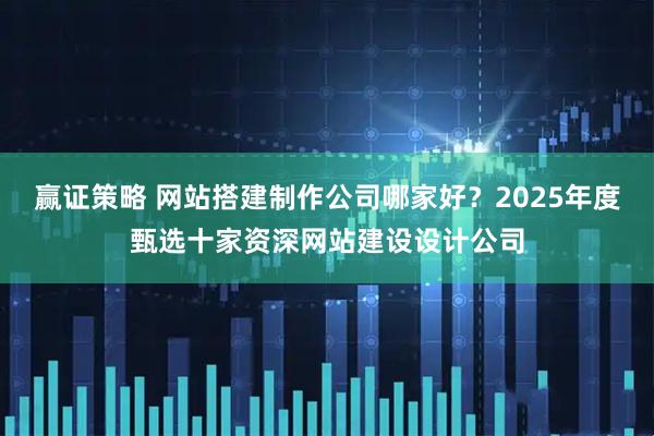 赢证策略 网站搭建制作公司哪家好？2025年度甄选十家资深网站建设设计公司
