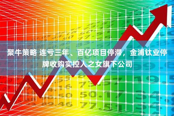聚牛策略 连亏三年、百亿项目停滞，金浦钛业停牌收购实控人之女旗下公司