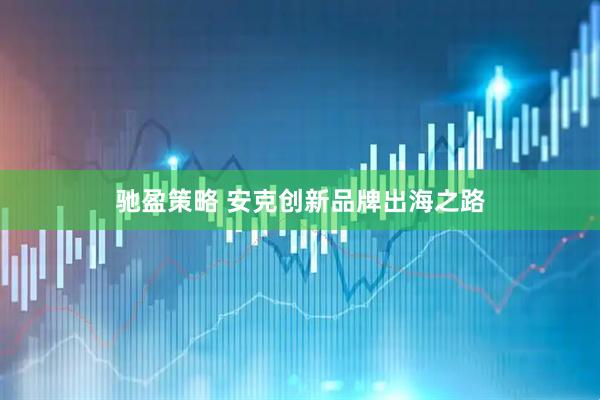 驰盈策略 安克创新品牌出海之路